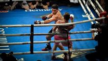 Estas son las peleas de box que habrá en febrero de 2025
