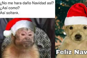 ¡Los mejores memes para darle la bienvenida a diciembre 2024!