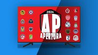 Liga MX: ¿A qué hora y por dónde ver los partidos de la Jornada 17 del Apertura 2024?