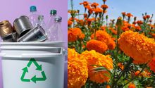 Así puedes cambiar tu basura por flores de cempasúchil; te decimos dónde y cuándo