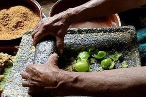 Ricardo José Haddad Musi: gastronómica regional mexicana impulsa al país