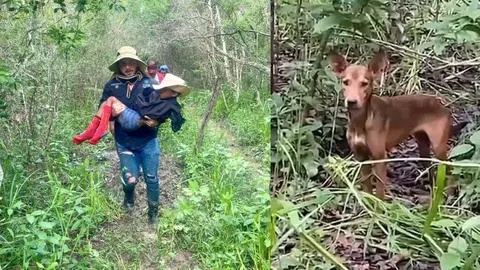 Menor de 9 años sobrevive durante una semana en la selva tras paso del huracán Milton