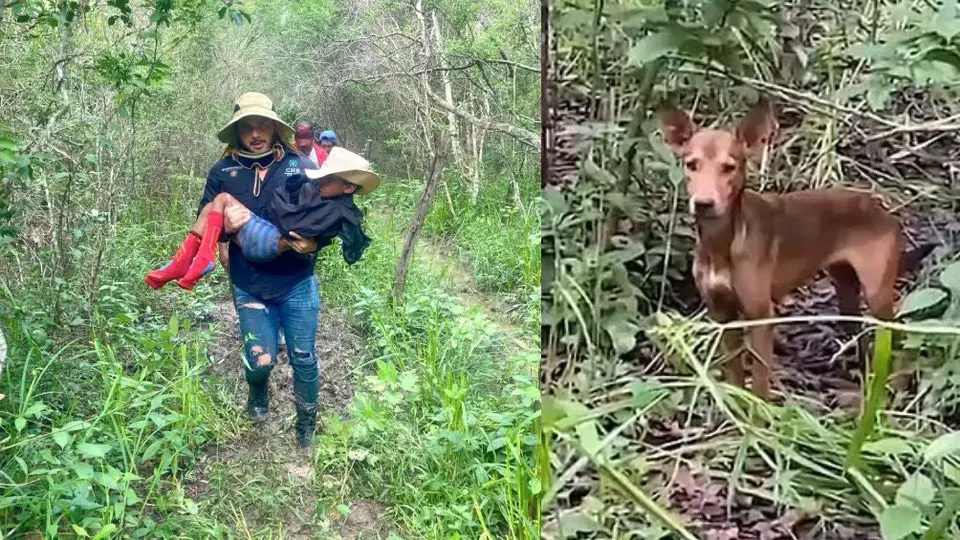 Menor de 9 años sobrevive durante una semana en la selva tras paso del huracán Milton