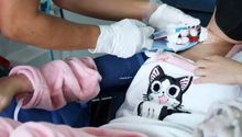 La SSA emite alerta epidemiológica por la bacteria “Klebsiella oxytoca”, hay 15 casos confirmados