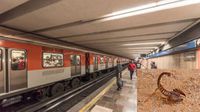 Usuaria es picada por un alacrán en el Metro de la Ciudad de México