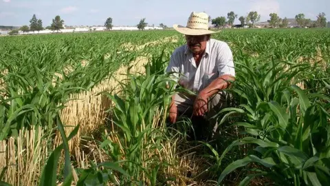 Proponen nueva pensión en Edomex de 7 mil pesos al mes ¿A quiénes beneficiará?