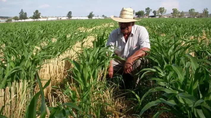 Proponen nueva pensión en Edomex de 7 mil pesos al mes ¿A quiénes beneficiará?