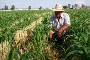 Proponen nueva pensión en Edomex de 7 mil pesos al mes ¿A quiénes beneficiará?