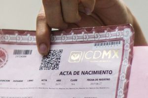 ¡Atención! Estas personas no podrán sacar su acta de nacimiento por internet