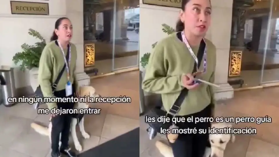 Hotel niega acceso a mujer con su perro guía y llega la Profeco a sancionarlo