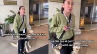 Hotel niega acceso a mujer con su perro guía y llega la Profeco a sancionarlo