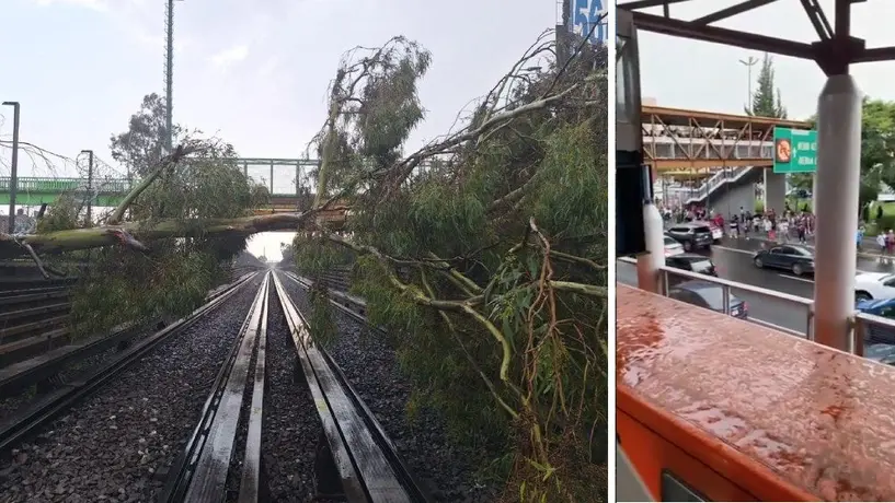 Línea B del Metro: Caen árboles a las vías afectando el servicio y a cientos de pasajeros