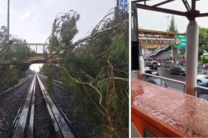 Línea B del Metro: Caen árboles a las vías afectando el servicio y a cientos de pasajeros
