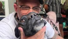 Tom Hardy pide ayuda para fundación de perritos en CDMX