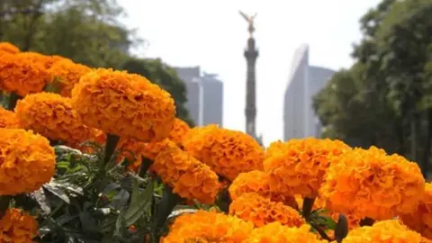 Equinoccio de Otoño: Hoy inició el Otoño en México, te decimos cuánto dura y sus características