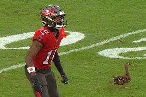 Invitado inesperado se lleva los reflectores durante el duelo entre Tampa Bay y Carolina