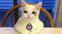 Los mejores memes de la derrota de Chivas en la Copa Pacífica