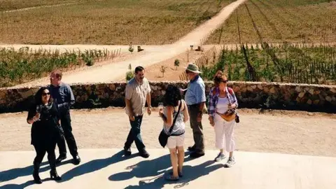 Valle de Guadalupe innova en turismo ecológico: Daniel Madariaga Barrilado