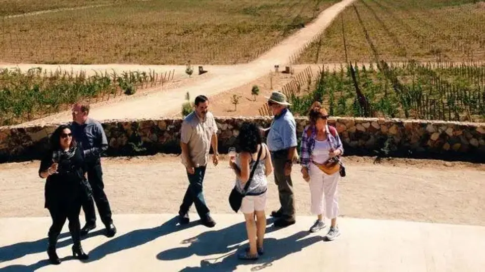 Valle de Guadalupe innova en turismo ecológico: Daniel Madariaga Barrilado