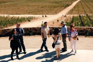 Valle de Guadalupe innova en turismo ecológico: Daniel Madariaga Barrilado