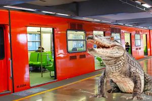 ¡Órale! Rescatan a cocodrilo en el Metro de la Ciudad de México