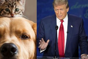 Policía de Estados Unidos dice que ha recibido miles de llamadas preguntando si inmigrantes comen mascotas