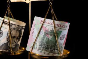 Precio del dólar 5 de noviembre: El peso mexicano sigue perdiendo valor
