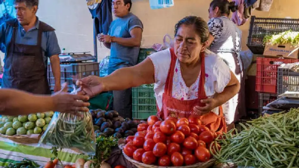 Verduras y alimentos de uso habitual en CDMX contienen metal cancerígeno, según estudio