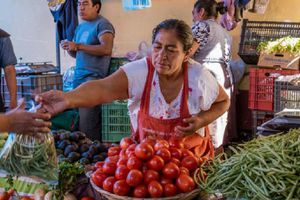 Verduras y alimentos de uso habitual en CDMX contienen metal cancerígeno, según estudio