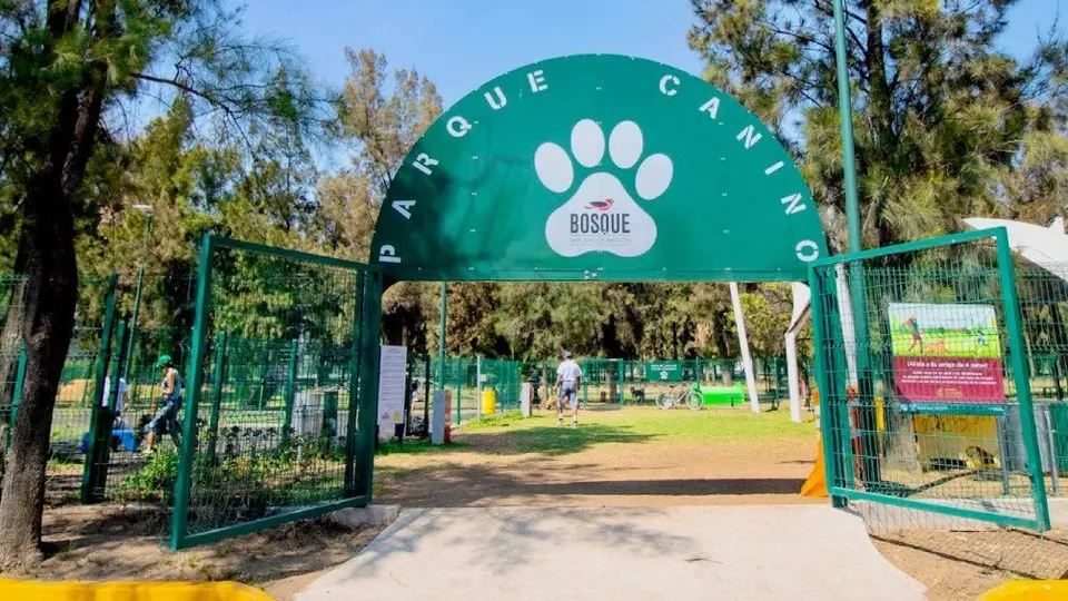 ¡Para pasear a tu perro! Conoce el Parque Canino del Bosque de Aragón