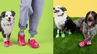 Crocs lanza ‘Pet-crocs’, una colección para perritos con estilo