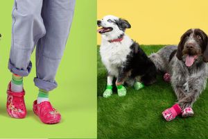 Crocs lanza ‘Pet-crocs’, una colección para perritos con estilo
