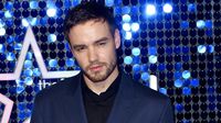 Reality show de Liam Payne, podría “no ver la luz” tras su repentina muerte