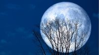 ¿Cuándo será la última luna llena o "luna fría" de 2024?