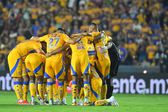 Tigres lanza cuenta oficial de Instagram de Fundación Tigres para reforzar compromiso social