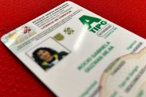 ¿Echan reversa a licencia de conducir permanente en CDMX? Esto sabemos