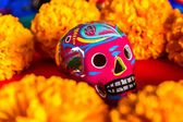 Día de Muertos 2024: ¿Cuánto cuesta comprar flores Cempasúchil tras incremento de precio?