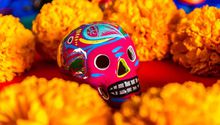 Día de Muertos 2024: ¿Cuánto cuesta comprar flores Cempasúchil tras incremento de precio?