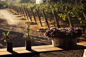 Valle de Guadalupe, destino emergente de turismo sostenible: Daniel Madariaga Barrilado