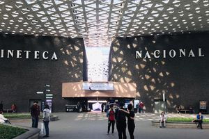 ¿Quieres ganarte un mes de películas gratis en la Cineteca Nacional? Esto debes hacer