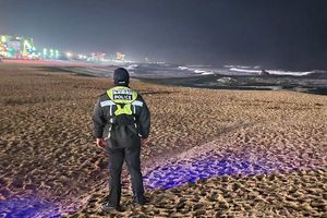 Japón registra leve tsunami después de terremoto de magnitud 5.9 grados