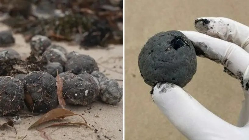 Cierran playas de Sídney ante la presencia de extrañas bolas negras