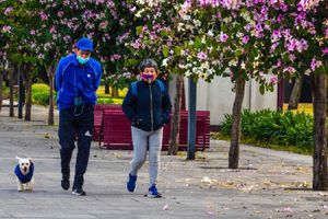 ¡Hace frío! Pronostican temperaturas por debajo de los 0° grados para la Ciudad de México