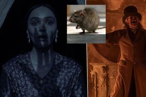 PETA planea protestas en las proyecciones de Nosferatu por usar ratas como “presagio de muerte”