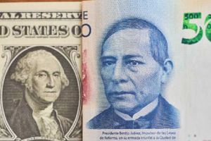 Precio del dólar 16 de diciembre 2024: Inicia otro intento por bajar al dólar de los $20.00 pesos