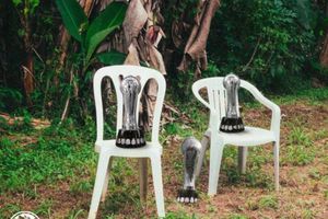 América bromea con su tricampeonato y el nuevo álbum de Bad Bunny