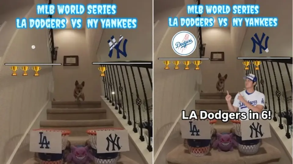¿Definido el ganador de la Serie Mundial? Popular perro corgi, Steph Furry, dio su pronóstico
