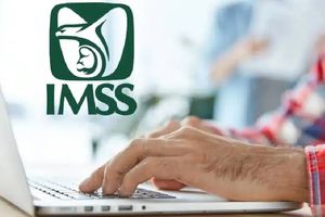 ¿Cómo cobrar una incapacidad del IMSS en línea? Aquí te decimos cómo hacerlo