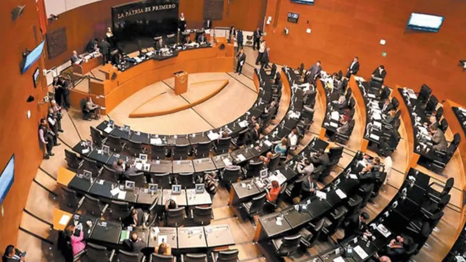 Senado aprueba reforma para beneficiar a repartidores por aplicación ¿Qué beneficios tendrán?
