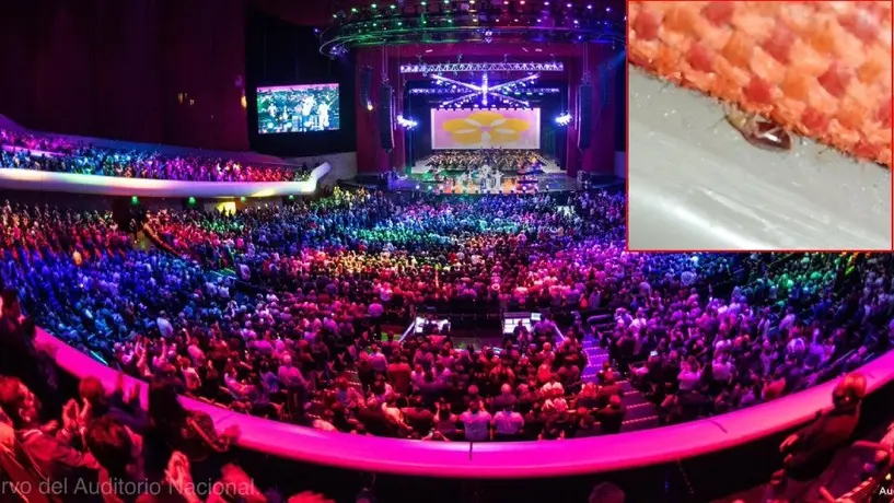¿Chinches en el Auditorio Nacional? Esto sabemos del caso